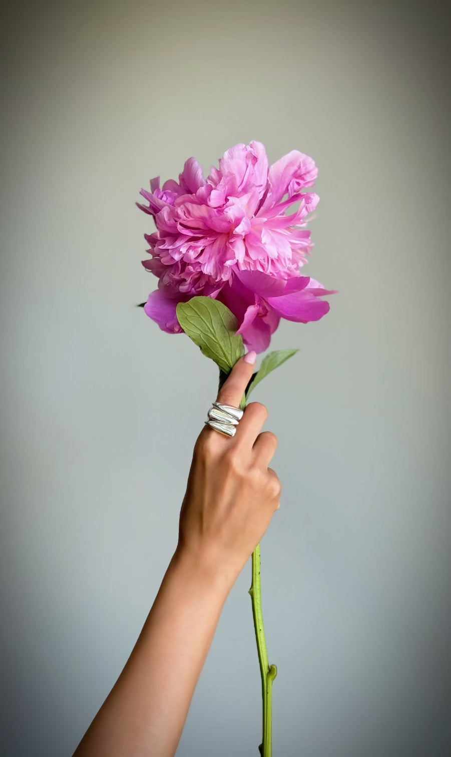 Sogoli Sepahpour - Silver Collection