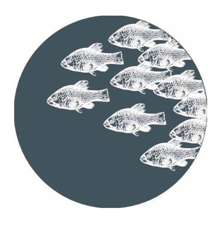 BlueFleet Mirror