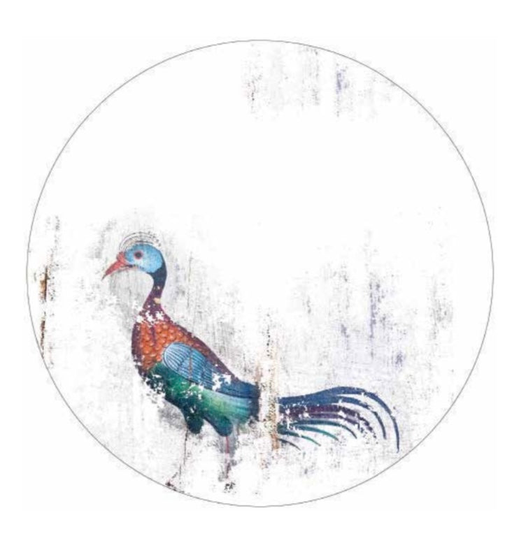 ChromaBird Mirror