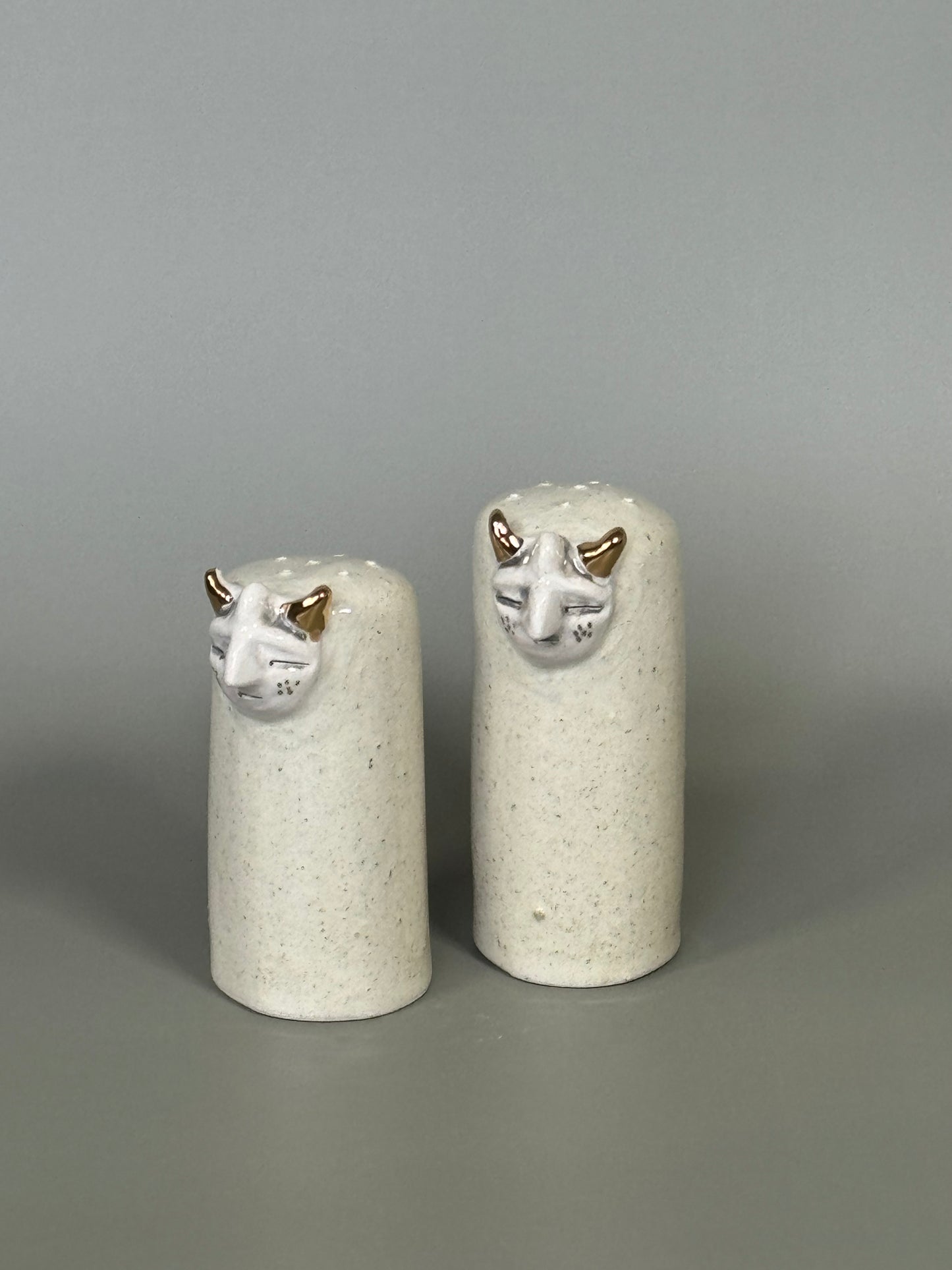 Demon Salt & Pepper Shaker